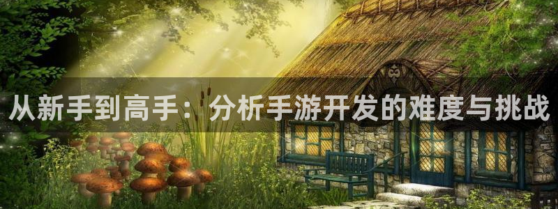 三牛娱乐如何注册：从新手到高手：分析手游开发的难度与挑战
