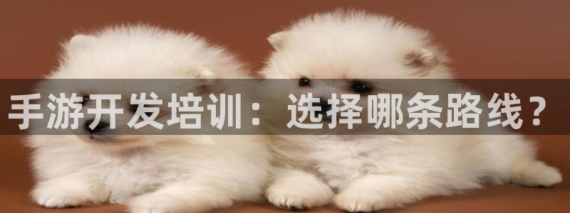 三牛娱乐测速系统官网：手游开发培训：选择哪条路线？