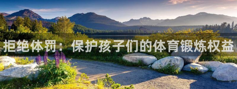 b体育必一运动官网