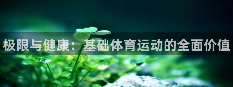 bsports必一运动