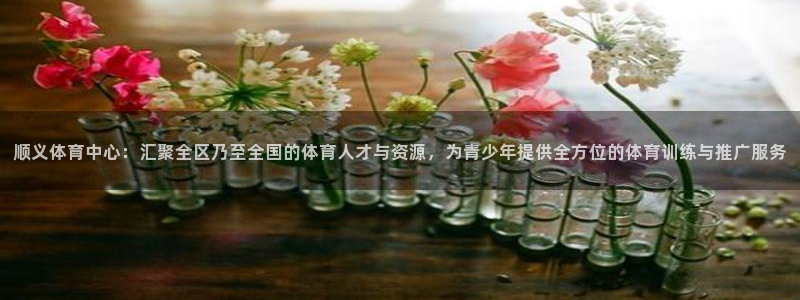 必一运动体育官网入口