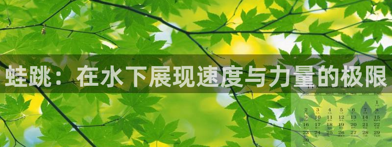 必一运动bsport体育：蛙跳：在水下展现速度与力量的极限