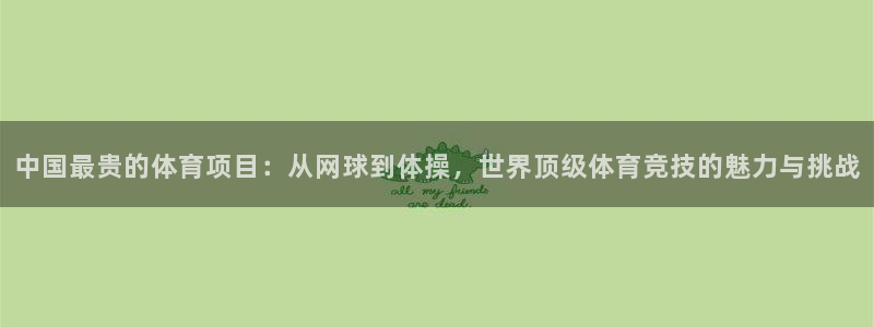 必一运动官网入口
