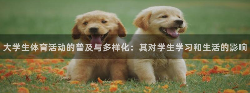 b体育必一运动官网