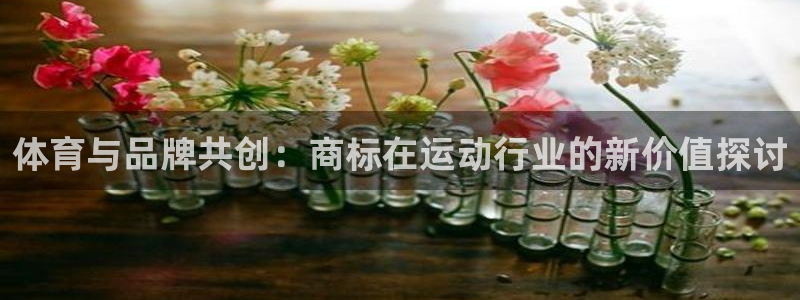b体育必一运动官网：体育与品牌共创：商标在运动行业的新价值探讨