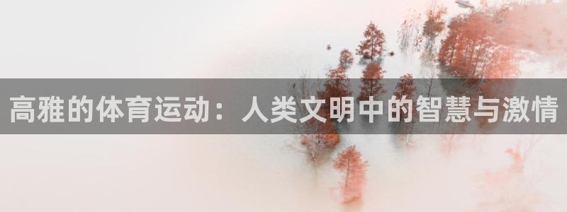 bsports必一运动：高雅的体育运动：人类文明中的智慧与激情