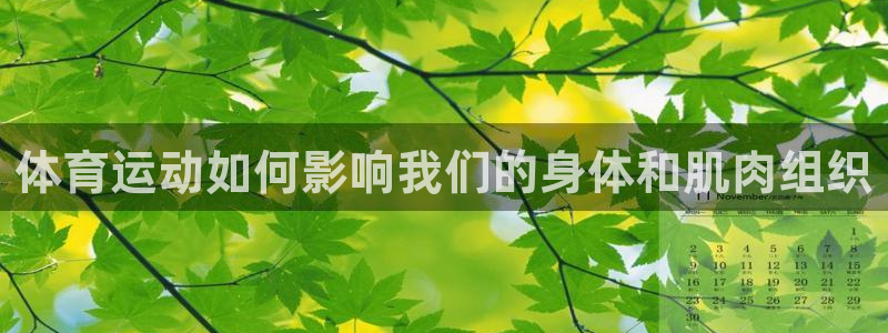 必一运动体育官网：体育运动如何影响我们的身体和肌肉组织