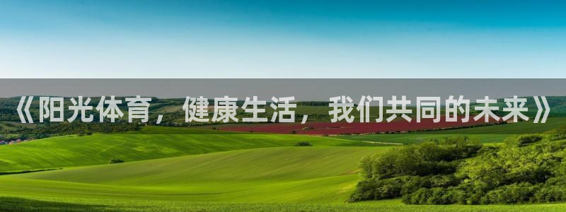 b体育必一运动官网