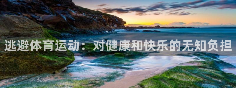 必一运动体育官网