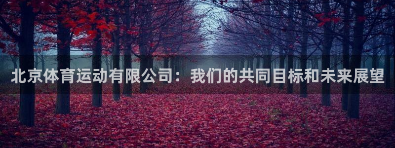 必一运动bsport体育：北京体育运动有限公司：我们的共同目标和未来展望