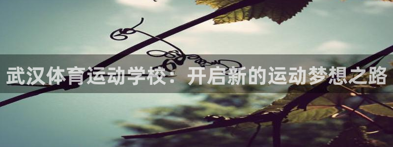 必一运动：武汉体育运动学校：开启新的运动梦想之路