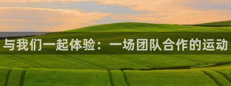 b体育必一运动官网：与我们一起体验：一场团队合作的运动