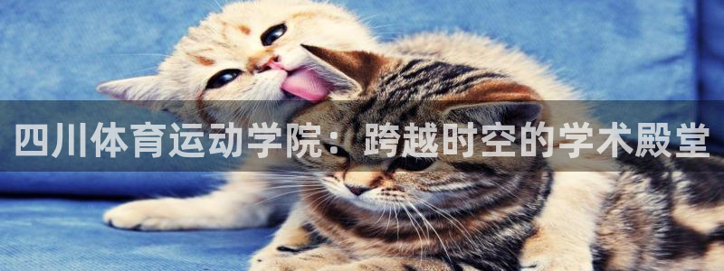 必一运动bsport体育：四川体育运动学院：跨越时空的学术殿堂